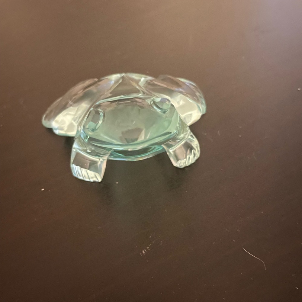 Cute Glass Frog - Picture 2 of 5